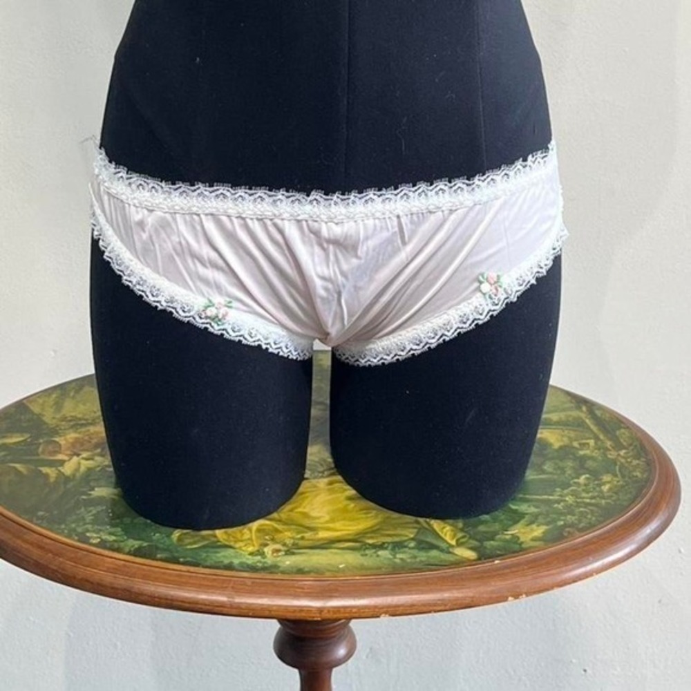 Vintage Pastel Pink Rosebud Lace Trim Nylon Panties Size 7